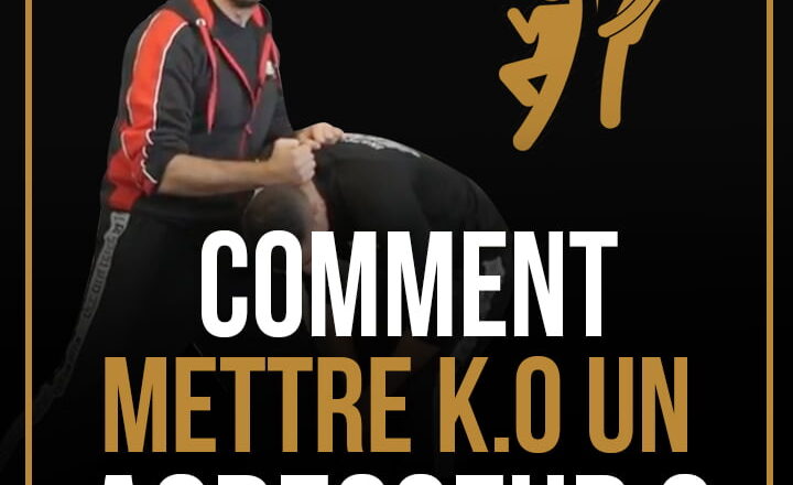 comment-mettre-ko-un-agresseur