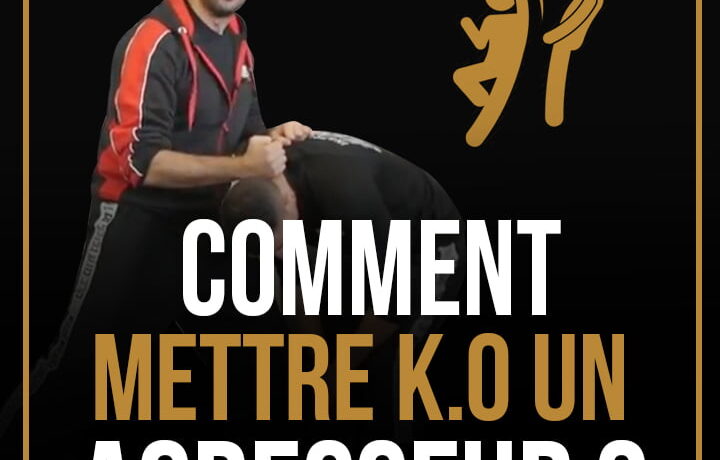 comment-mettre-ko-un-agresseur