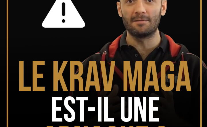 LE KRAV MAGA EST-IL UNE ARNAQUE ?